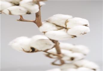 Outer cover in 100% Natural materials.