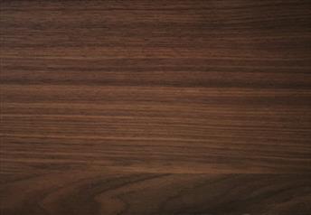 American Walnut Veneer