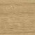 European Oak